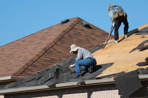 Best Roof Insulation Installation  in Wilder, ID