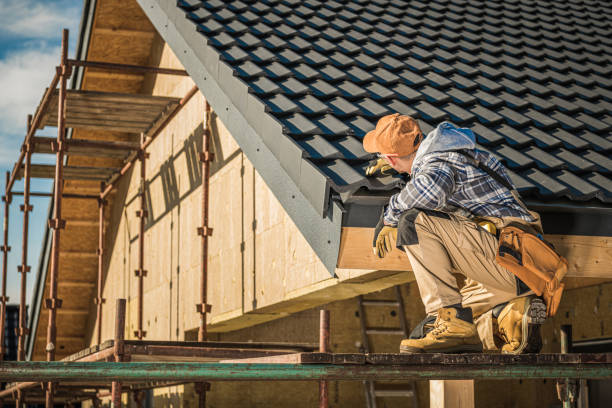 Best Roof Maintenance and Cleaning  in Wilder, ID