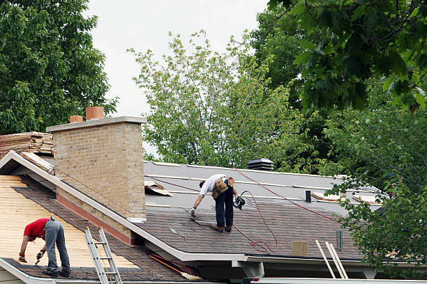 Best Chimney Flashing Repair  in Wilder, ID